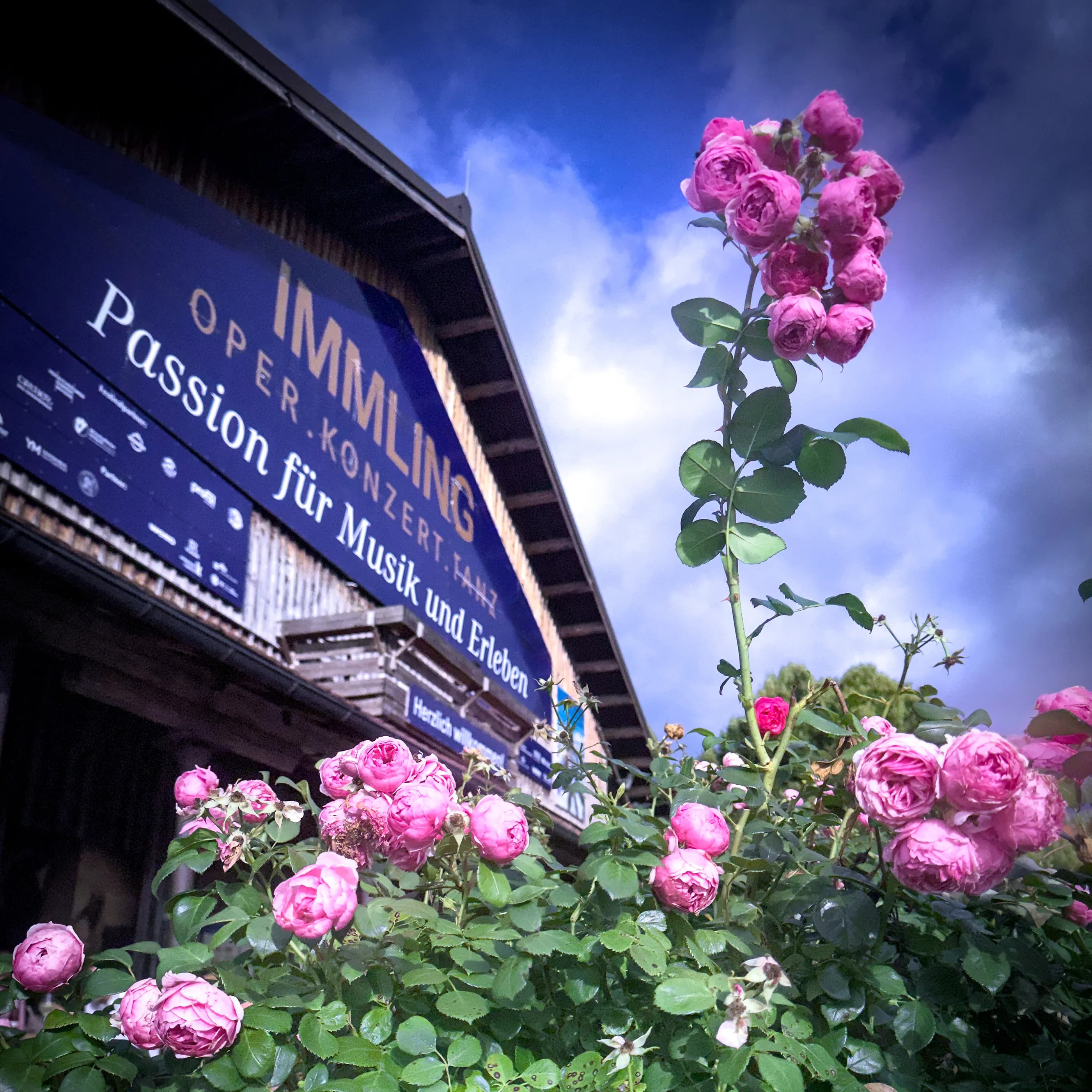 Immling Blumen