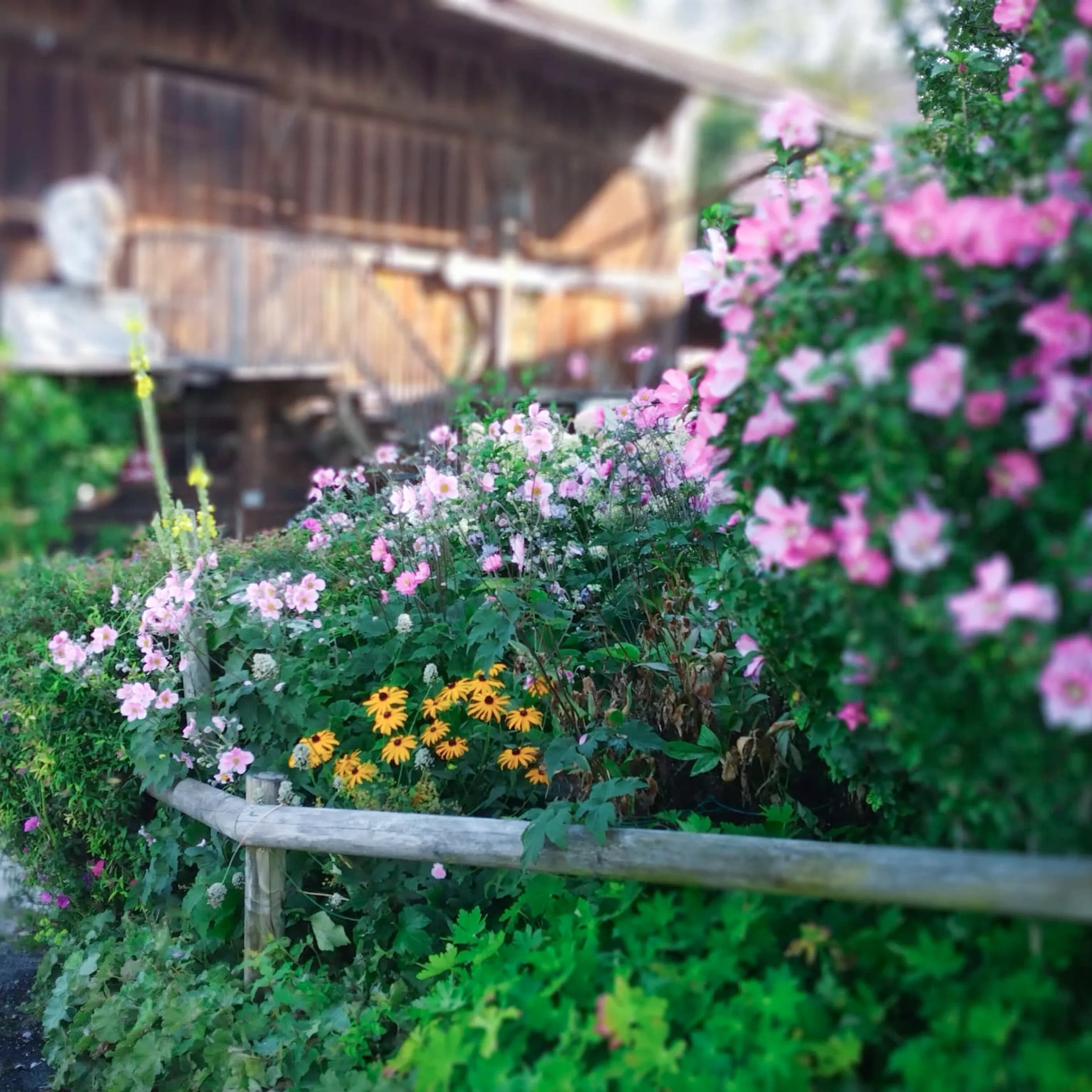 Garten Immling